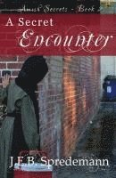 bokomslag A Secret Encounter (Amish Secrets #2)