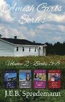 bokomslag Amish Girls Series - Volume 2 (Books 5-8)