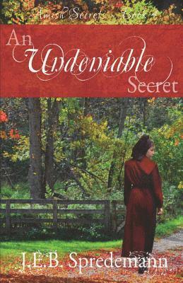 bokomslag An Undeniable Secret (Amish Secrets #4)