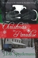 Christmas in Paradise 1