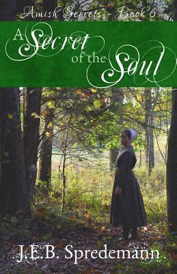 bokomslag Secret of the Soul (Amish Secrets - Book 6)