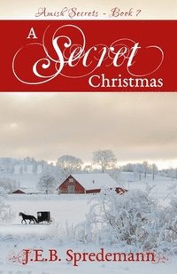 bokomslag A Secret Christmas (Amish Secrets 7)