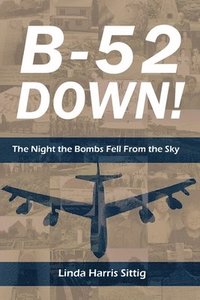 bokomslag B-52 Down! The Night the Bombs Fell From the Sky