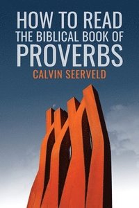 bokomslag How to Read the Biblical Book of Proverbs