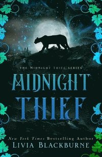 bokomslag Midnight Thief