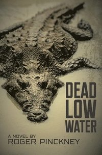 bokomslag Dead Low Water