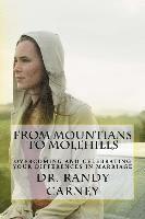 bokomslag From Mountains to Molehills