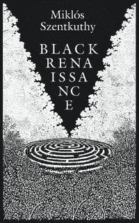 bokomslag Black Renaissance
