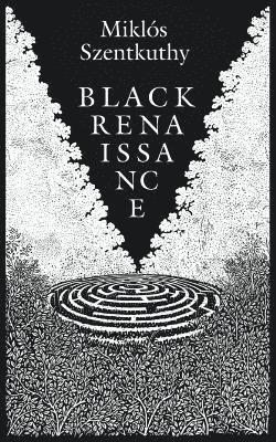 Black Renaissance 1