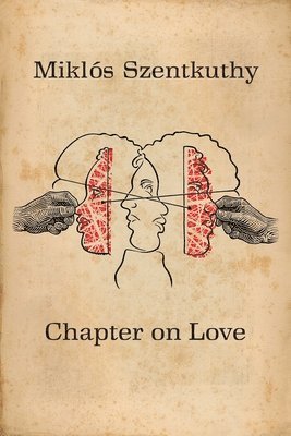 bokomslag Chapter On Love
