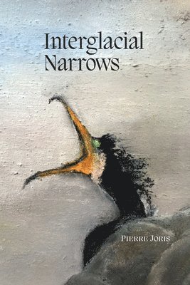 Pierre Joris - Interglacial Narrows, Häftad