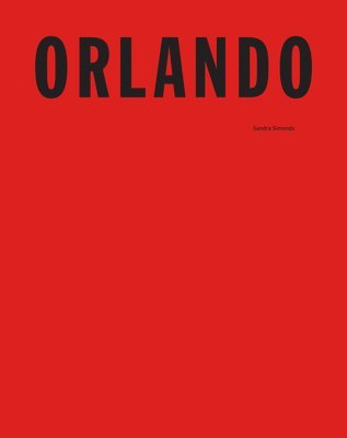 bokomslag Orlando