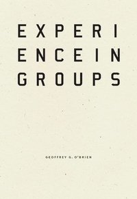bokomslag Experience in Groups