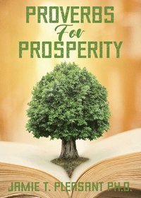 bokomslag Proverbs For Prosperity