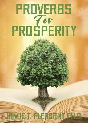 Proverbs For Prosperity 1
