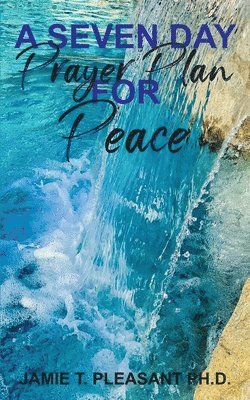 bokomslag Seven Day Prayer Plan For Peace