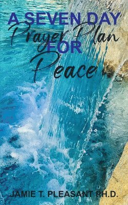 A Seven Day Prayer Plan For Peace 1