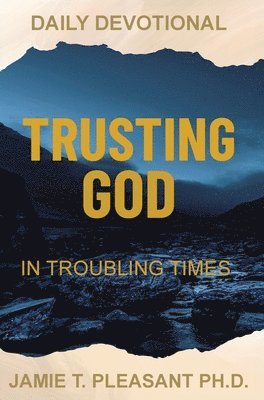 bokomslag Trusting God In Troubling Times