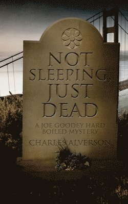 bokomslag Not Sleeping, Just Dead: A Hard Boiled Mystery