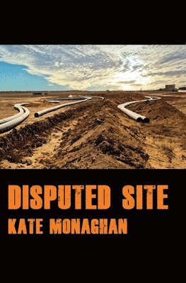 Disputed Site 1