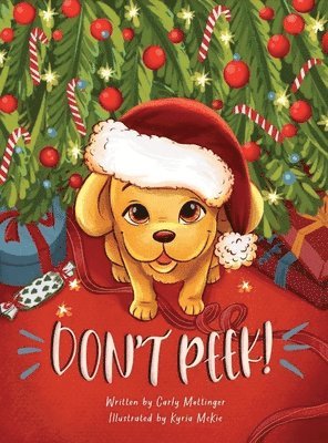 Carly Mottinger - Don't Peek!, Inbunden
