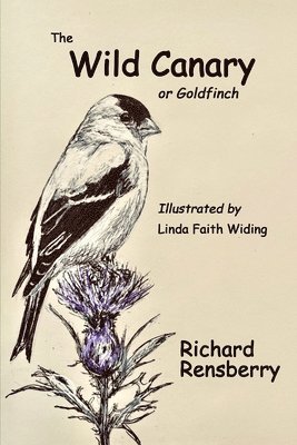 Richard Rensberry - Wild Canary, Häftad