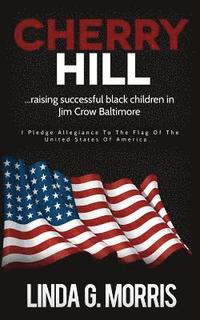 bokomslag Cherry Hill: Raising Successful Black Children in Jim Crow Baltimore