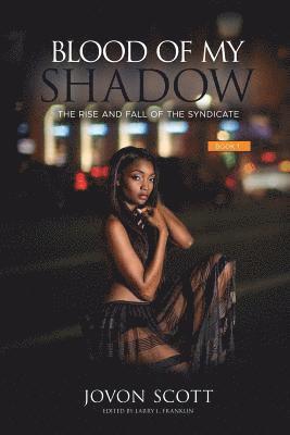 bokomslag Blood on My Shadow