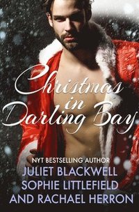 bokomslag A Darling Bay Christmas