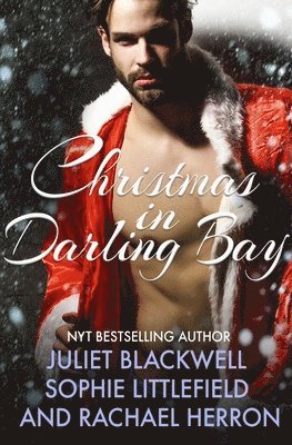 A Darling Bay Christmas 1