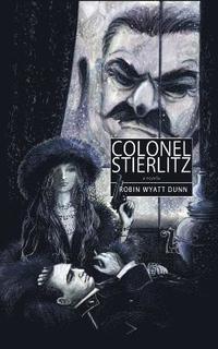 bokomslag Colonel Stierlitz