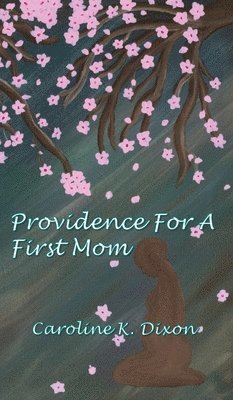 bokomslag Providence for a First Mom