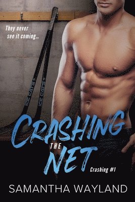 Crashing the Net 1