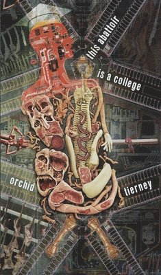 Orchid Tierney, orchid tierney - this abattoir is a college, Häftad