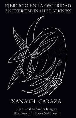 Miguel Lopez Lemus - Ejercicio en la oscuridad, Häftad