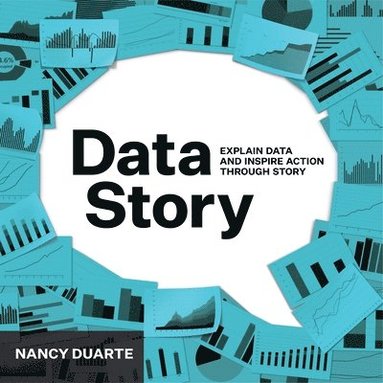 bokomslag DataStory