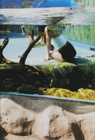 bokomslag Aquarium