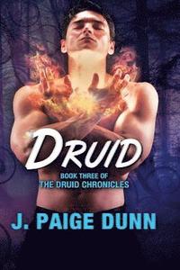 bokomslag Druid: Book Three of the Druid Chronicles