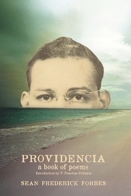 bokomslag Providencia - A Book of Poems