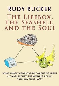 bokomslag The Lifebox, the Seashell, and the Soul: What Gnarly Computation Taught Me About Ultimate Reality, The Meaning of Life, And How to Be Happy