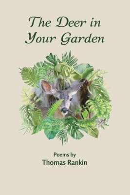 bokomslag Deer in Your Garden
