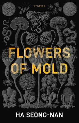 Flowers of Mold & Other Stories 1