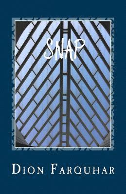 Dion N. Farquhar - Snap, Häftad