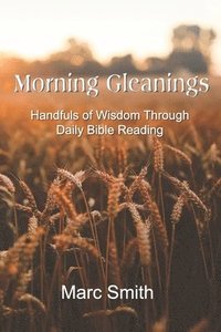 bokomslag Morning Gleanings