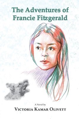 bokomslag Adventures of Francie Fitzgerald
