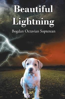 Bogdan Octavian Sopterean - Beautiful Lightning, Häftad