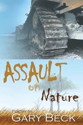 bokomslag Assault on Nature