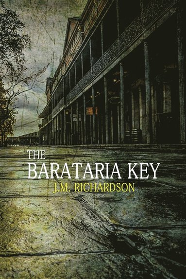 bokomslag The Barataria Key