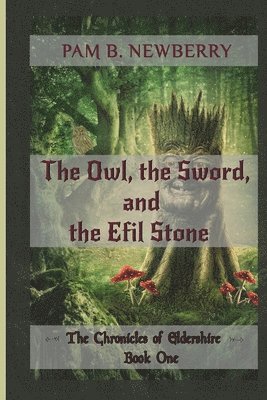 bokomslag The Owl, the Sword, & the Efil Stone: The Chronicles of Eldershire - Book One