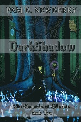 bokomslag DarkShadow